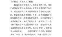 秋天的景色作文400字