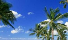 海南岛——我心中的天堂