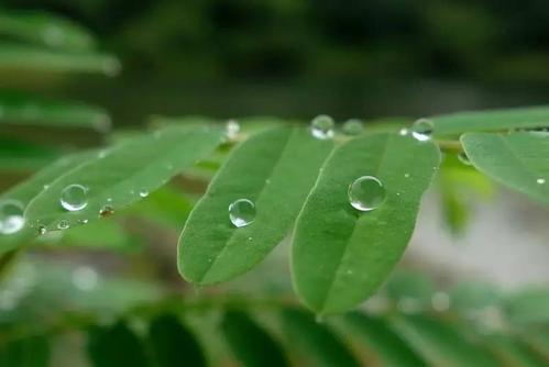 雨中的回忆