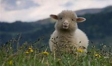 做自己的第一名