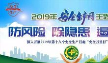 我的2019年