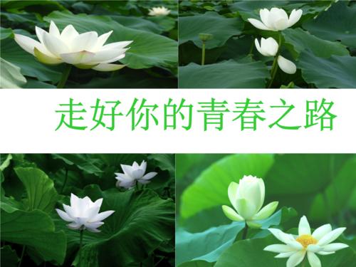 通往青年之路