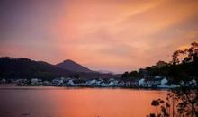 我的心因梦想而高贵