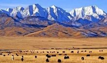 第一次去青藏高原