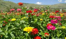 镌刻在时光机里的约定