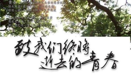 把握青春，努力奋斗