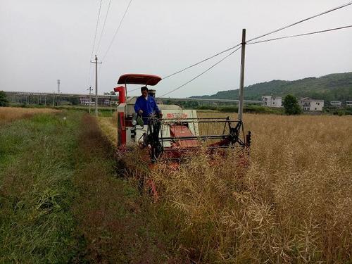 人类的“机械化时代”