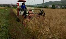 人类“机械化时代”