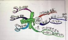 飞鼠萨米历险记读后感