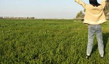 捧起墨香与书相约