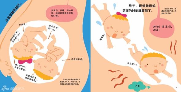 我从哪里来