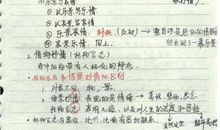 我的初中语文老师