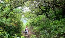 上学路上的风景