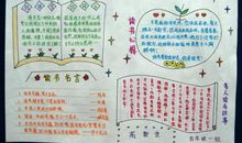 我尝到了创造的快乐