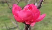 心向阳光春暖花开