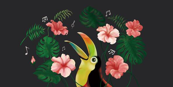 聆听天nature