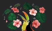 听大自然的声音