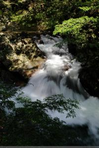 中国人心中清澈的春天