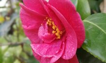 冬天的第一场雨