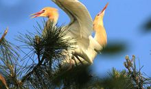 人生因你而精彩