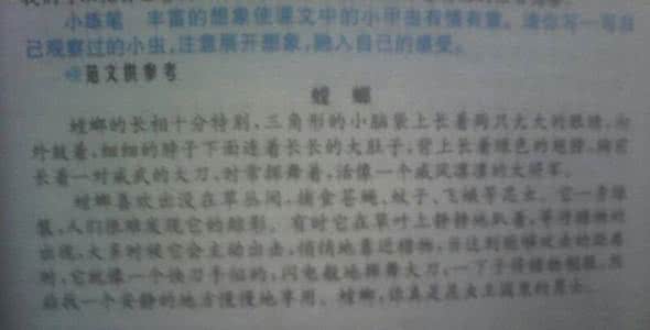 南京之旅组成