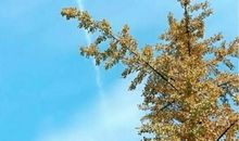 给自己的世界一片晴朗