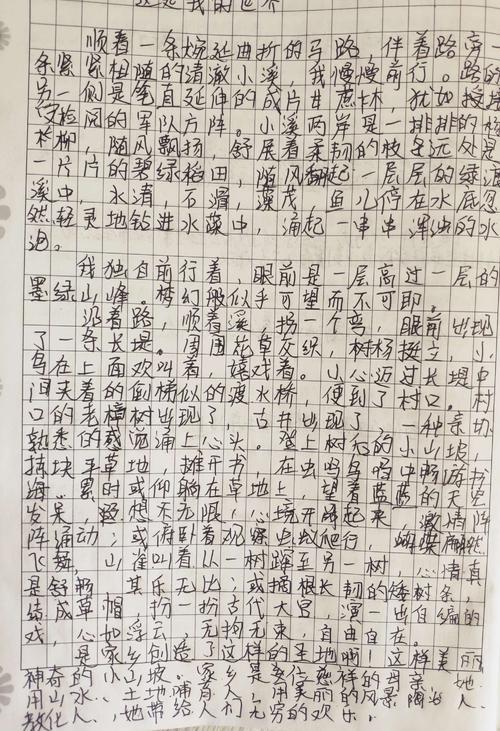 关于扑克牌的组成
