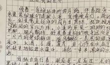 关于玩卡片的作文