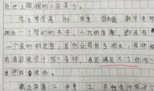 我心目中的好老师作文