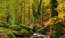 我的快乐与你分享