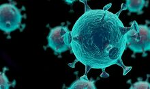 我的春节之大战新冠病毒