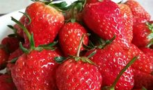 家乡的草莓
