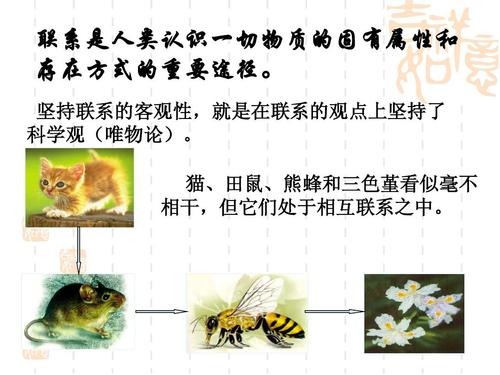 辩识地认识自己