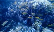 记路上的一件事