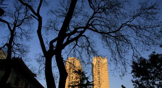 看到另一个温暖的阳光