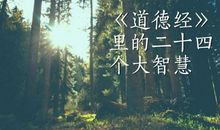 《人生智慧管理》读后感