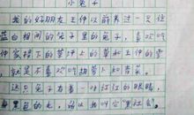 我喜欢的一件东西说明文作文