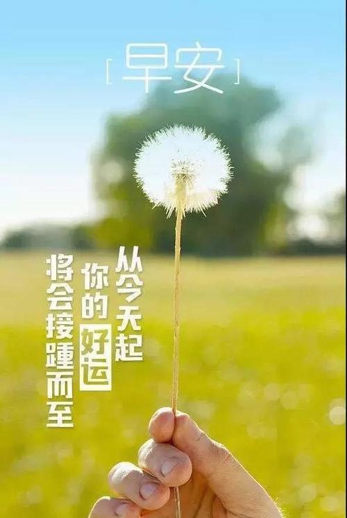 图在冬天的早晨