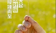 冬日早晨的身影