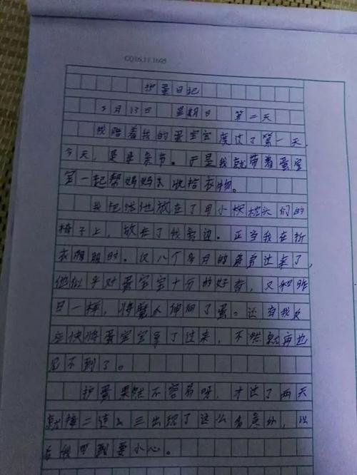 蛋宝宝三年级作文