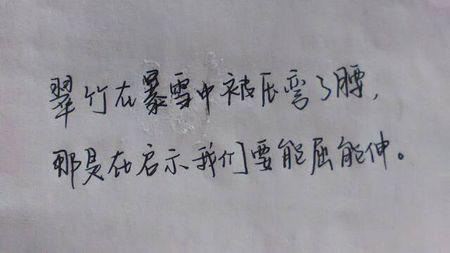 蚂蚁的启示