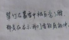 蚂蚁给我带来的启示