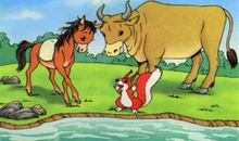 小马过河读后感