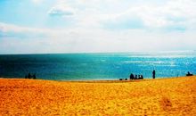 记忆深处的那朵浪花