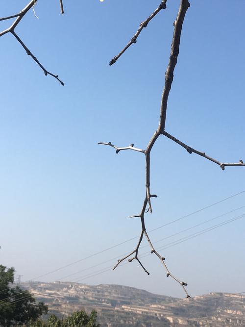 离别是失踪的悲伤