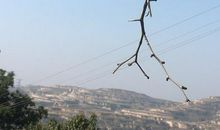 离别是思念的愁