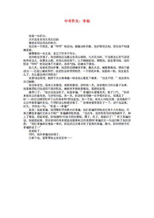 我是石头人