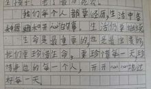 学会宽容懂得感恩——读《生命流泪的样子》有感