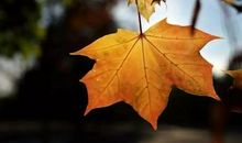 牵挂是一种富有