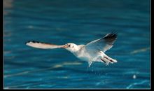 苦难的人生是一笔财富